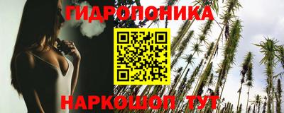 амф Аша