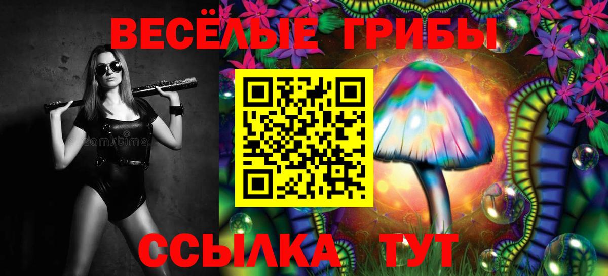 Борисоглебск  Галлюциногенные грибы прущие грибы  Вход с VPN 